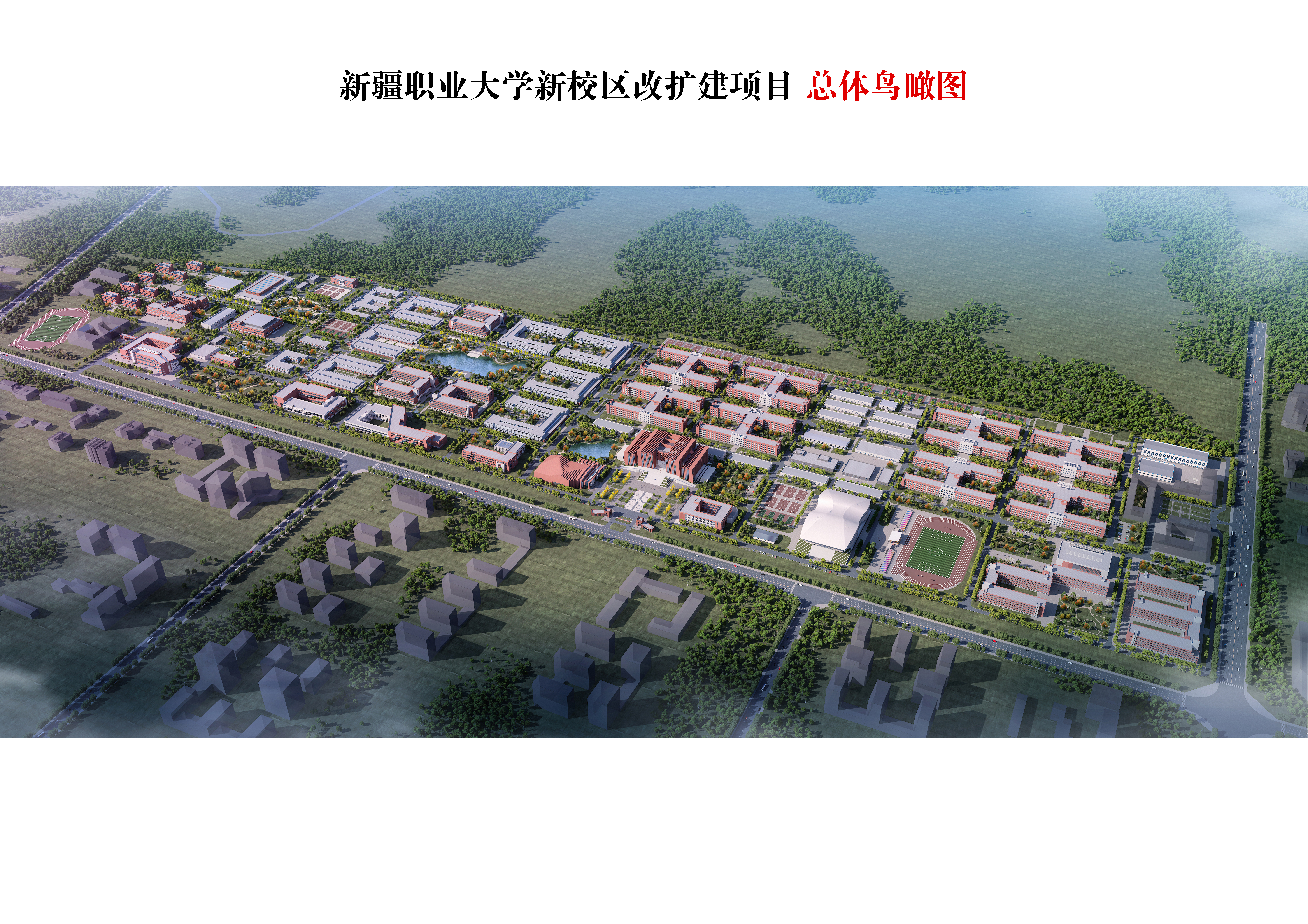 轮播照片5